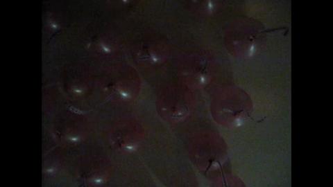 2229