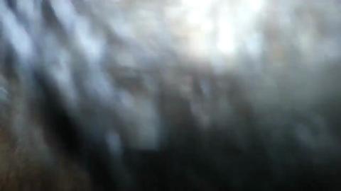 33026