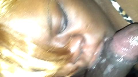33638