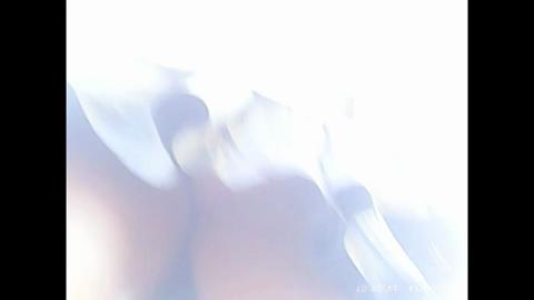 21006