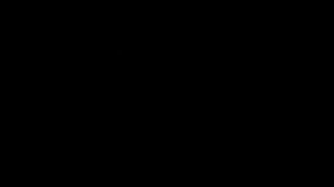 22806