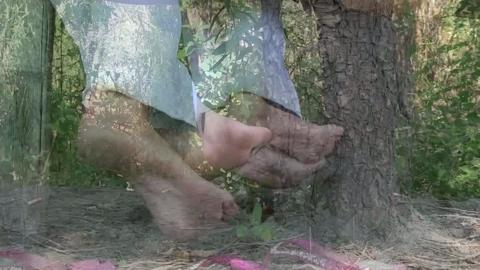 26562