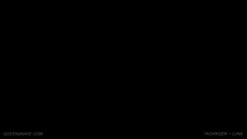 18501